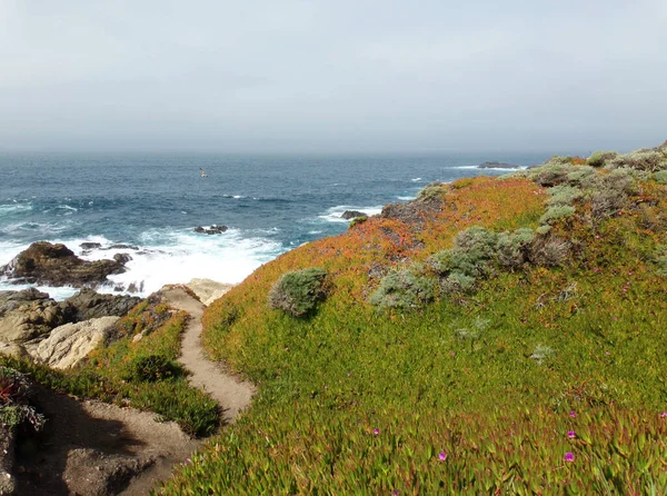 Стоун Бич Калифорнии Прибрежные Скалы Заливе Шори Роуд Трейп Алонг — стоковое фото