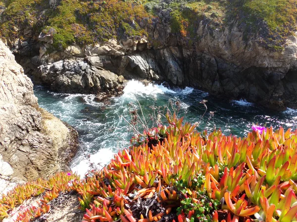 Stone Beach Californie Coastal Rocks Shallow Waters Shore Road Trip — Photo