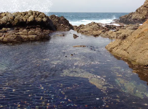 Stone Beach Californie Coastal Rocks Shallow Waters Shore Road Trip — Photo