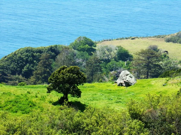 California Coastline Its High Jagged Cliffs Road Trip Highway Discovery — Stock Photo, Image