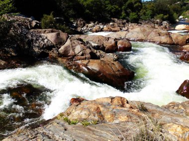 Vahşi Nehir Yosemite Ulusal Parkı Kayalar Arasında Su Süzülüyor, Akıntı