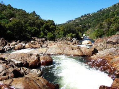 Vahşi Nehir Yosemite Ulusal Parkı Kayalar Arasında Su Süzülüyor, Akıntı