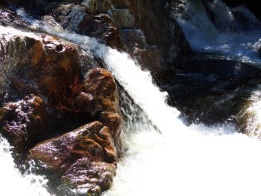 Vahşi Nehir Yosemite Ulusal Parkı Kayalar Arasında Su Süzülüyor, Akıntı