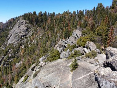 Sequoia Ulusal Parkı vadileri ve yamaçlarındaki Moro Rock 'tan görüntü 