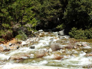 Vahşi su - Nehir, Sequoia ve Krallar Kanyonu Ulusal Parkı