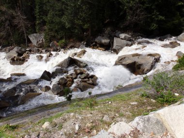 Yosemite Ulusal Parkı, Kaliforniya 'da Vahşi Nehir