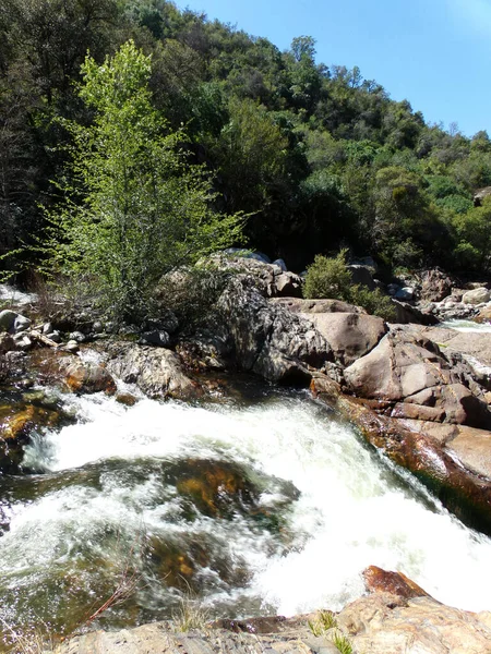 Wild River Yosemite Nemzeti Park Víz Csobbanás Sziklák Között Patak — Stock Fotó