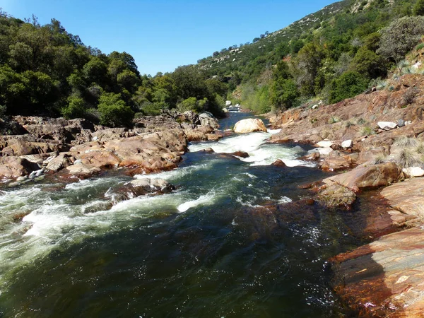 Национальный Парк Дикая Река Йосэмите Разлив Воды Между Скалами Ручьями — стоковое фото