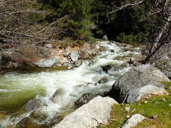 Acque Selvatiche Creek Sequoia Kings Canyon National Park — Foto Stock