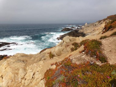 Kaliforniya Kıyı Kayalıkları ve Kayalıkları 