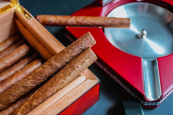 Blick Auf Zigarren Humidor Und Aschenbecher — Stockfoto