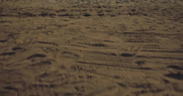 Lens Flare Rallentatore Amiche Esecuzione Godono Vita Giocando Spiaggia Libera — Video Stock