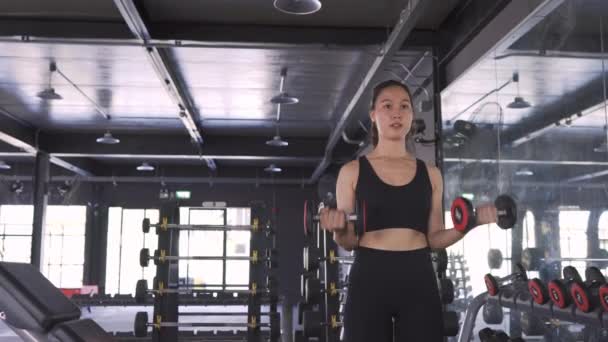 Pan Shot Mujer Ejercicio Con Pesadas Mancuernas Gimnasio Estilo Vida — Vídeos de Stock