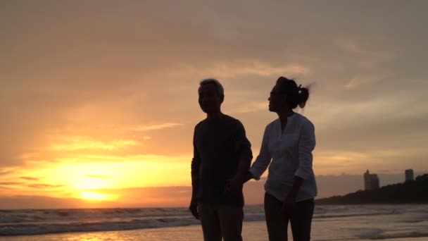 Asian Couple Senior Elder Retire Resting Relax Holding Hand Walking — Stock Video