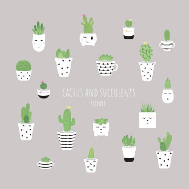 Kaktüs ve saksıda sulu bitkiler. Küçük tatlı kaplarda büyüyen el yapımı kaktüsler ve sulu bitkiler. Siyah ve beyaz renk düzeni. Vektör ortamı.