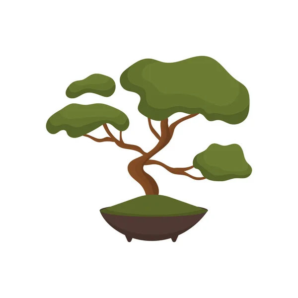 Bonsai tree color flat icon for web and mobile design. — Stock Vector