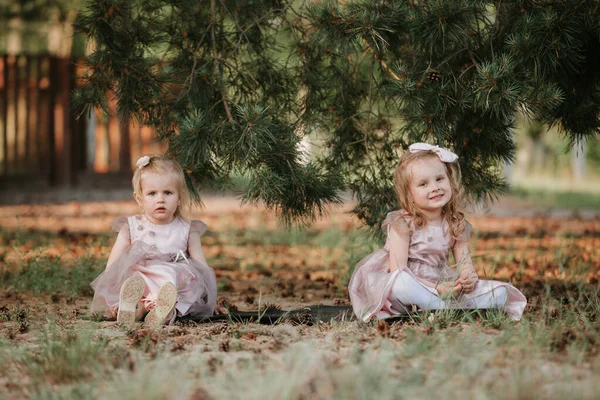 Две сестры играют в парке. Счастливое детство: маленькие девочки веселятся  . — стоковое фото