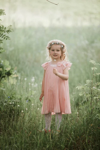 Pequena menina bonito em um vestido rosa e uma grinalda de flores em sua cabeça caminha na floresta no verão — Fotografia de Stock