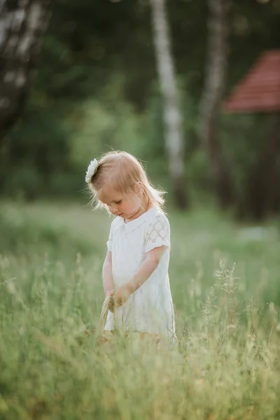 Pequena menina bonito com cesta em vestido branco se divertir no parque — Fotografia de Stock
