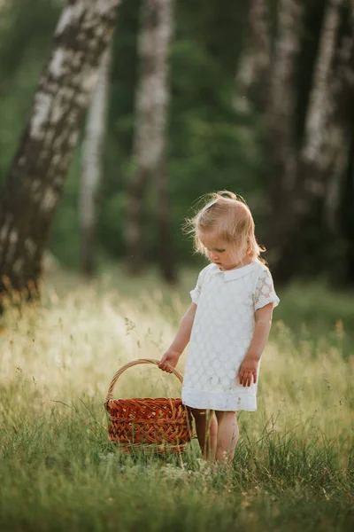 Маленька дівчинка в білій сукні з кошиком насолоджується сонячним літнім днем у лісі — стокове фото