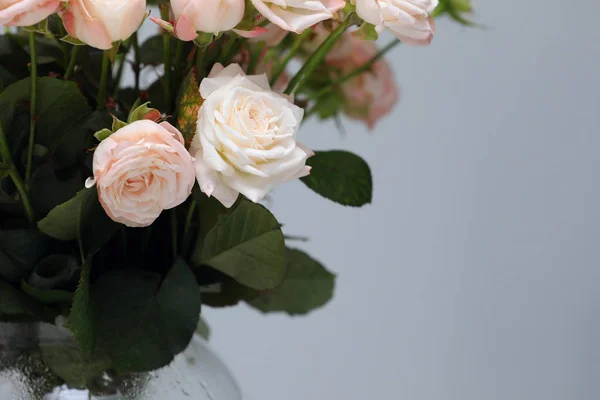 Закройте свежие розовые цветки на сером фоне. скопировать пространство. Женский день — стоковое фото