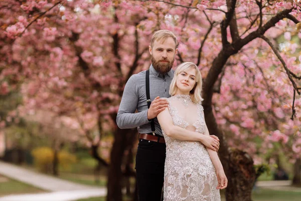 Retrato de pareja joven y hermosa en flor de cerezo rosa, jardín de sakura y abrazos en un día soleado. Retrato de boda de primavera. día de San Valentín . —  Fotos de Stock