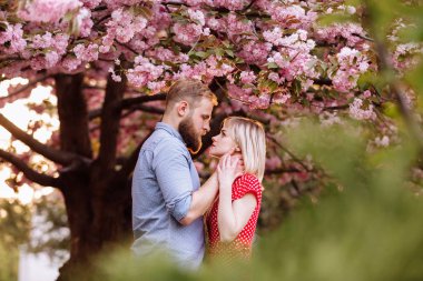Sakura ağacının yanında pembe çiçekli şık bir çift. Güzel genç bir çift, sakallı bir adam ve bahar parkında sarılan sarışın bir kadın. İlkbahar kavramı. moda ve güzellik