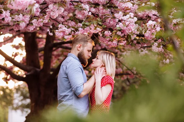 Snyggt par nära Sakura träd med blommande rosa blommor. vackert ungt par, man med skägg och blond kvinna kramas i vårparken. Begreppet fjäder. mode och skönhet — Stockfoto