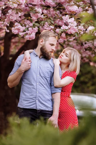 Stylowa para w pobliżu drzewa Sakura z kwitnącymi różowymi kwiatami. Piękna młoda para, mężczyzna z brodą i blondynka przytulająca się w wiosennym parku. Wiosna koncepcyjna. moda i piękno — Zdjęcie stockowe