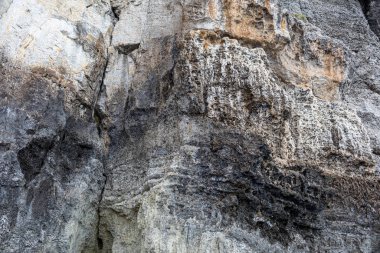 Arka plan, gri kaya dokusu. Kabuk kayasının dokusu, arkaplanı.