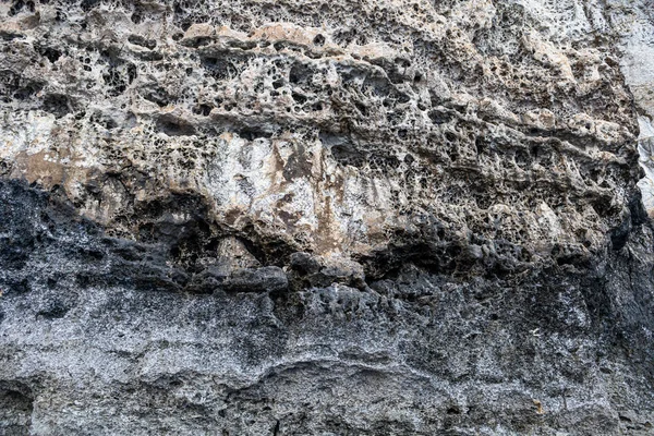 Background, texture of grey rock. Texture, background of shell rock. — Stock Photo, Image