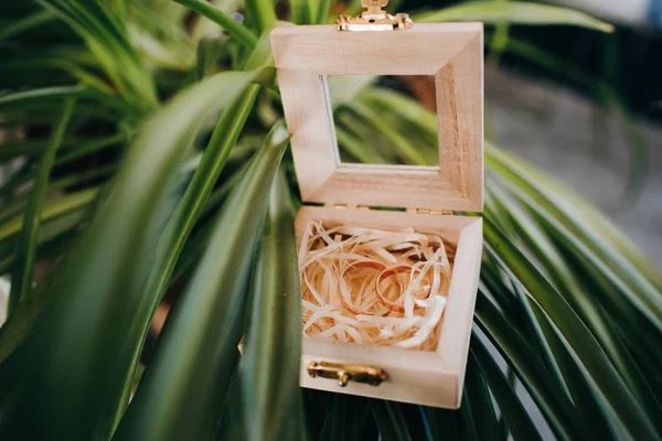 Anéis de ouro de casamento em uma caixa de madeira na grama verde. acessórios de casamento para a cerimônia . — Fotografia de Stock