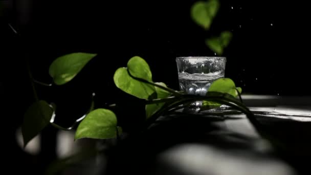 En un vaso transparente con gotas de agua caen. Splash scatter en diferentes direcciones. vidrio con agua se encuentra en la mesa entre la vegetación con los rayos del sol — Vídeos de Stock