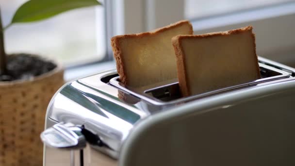 Beiger Toaster Mit Zwei Brotstücken Toaster Der Küche Der Morgens — Stockvideo