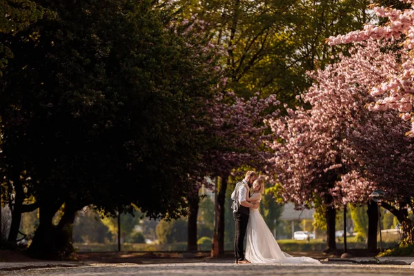 Boldog vőlegény ölelés menyasszony tavasszal virágzó sakura park. Friss házaspár a parkban. Nemrég házasodtunk. Sétálj be a parkba és ölelj meg. A friss házasok jól érzik magukat. rusztikus esküvő. — Stock Fotó