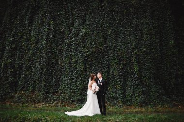 Gelin, uzun beyaz bir elbise ve bir buketle şık bir takım elbiseli bir damat ile birlikte yeşil sarmaşıklı bir düğün töreninden sonra.