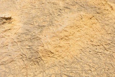 dry groun interesting texture and background. land after drought