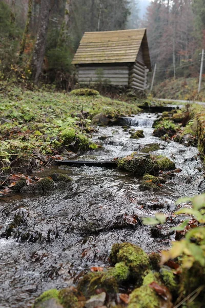 Um estreito rio de montanha selvagem flui na floresta. turistas solitários casa velha de madeira no outono floresta nublada. foco seletivo no rio — Fotografia de Stock
