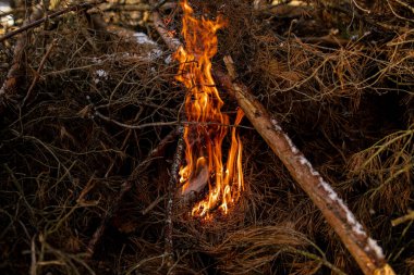 Şöminede yanmış odun ve şömineyi yakın.