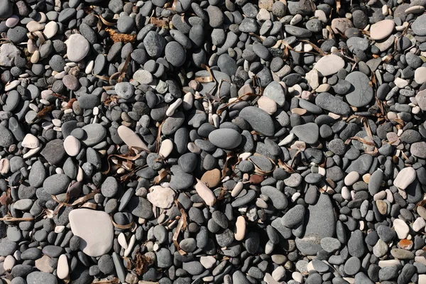 Bakgrund Småsten Stranden Sten Grus Textur Stone Bakgrund Eller Tapet — Stockfoto