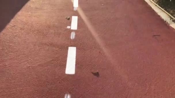 Camino de la bicicleta para la bicicleta, camino en el parque, tienen símbolo de la bicicleta. carril bici rojo en el pavimento — Vídeo de stock