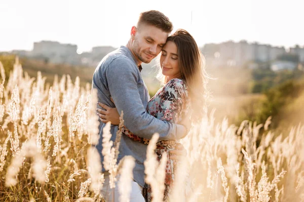 Frumos Cuplu Tânăr Îmbrățișare Într Câmp Iarbă Apus Soare Bărbat — Fotografie, imagine de stoc