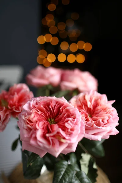 Свежие Розовые Розы Темном Фоне Красивая Красивая Роза Крупным Планом — стоковое фото