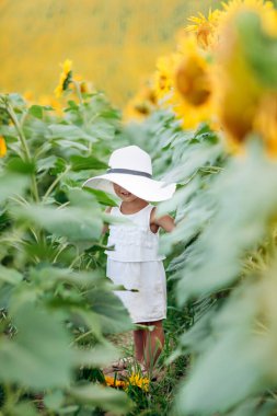 Ayçiçeği tarlasında gülümseyen tatlı bir kız. Anne şapkalı çocuk. Çocukluk kavramı. Ayçiçeği tarlasında güneşli bir yaz günü. seçici odak.
