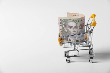 Banknote Ukrayna Hryvnia 'sı beyaz arka planda izole edilmiş alışveriş arabasında. Alışveriş arabasının yakın çekimi. Kopyalama alanı ile iş konsepti. Güç satın alma ve yaşayan maaş kavramı.