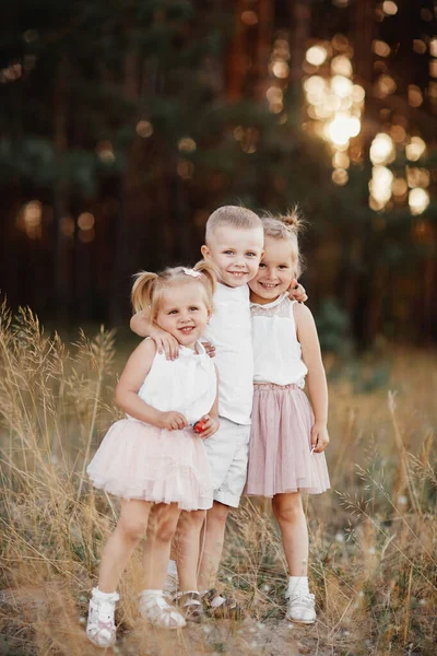 Three Children Playing Field Summer Young Children Playing Outdoors Smiling — Stock Photo, Image