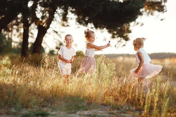 Троє Дітей Грають Полі Влітку Маленькі Діти Грають Відкритому Повітрі — стокове фото
