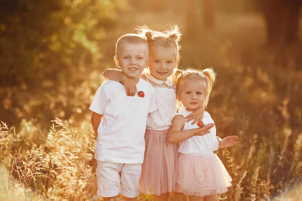 Tre Bambini Che Giocano Nel Campo Estate Bambini Piccoli Che — Foto Stock