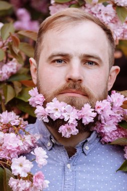 Çiçek açan kiraz ağaçlarında vahşi sakallı bir adam. Dışarıda gülümseyen sakallı yakışıklı bir adam. Bahar günü. Taze pembe sakura çiçeği. Erkek bahar modası. Sakallı şık adam. Pembe çiçekli mutlu adam.