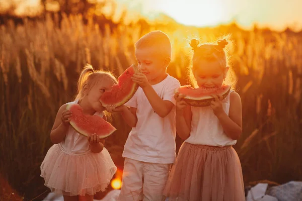 夏天日落时 快乐的孩子们在田里吃西瓜 夏天野餐 快乐的童年选择性重点 — 图库照片